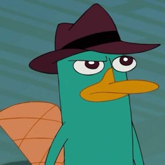 You Controlled In The Wrong Platypus