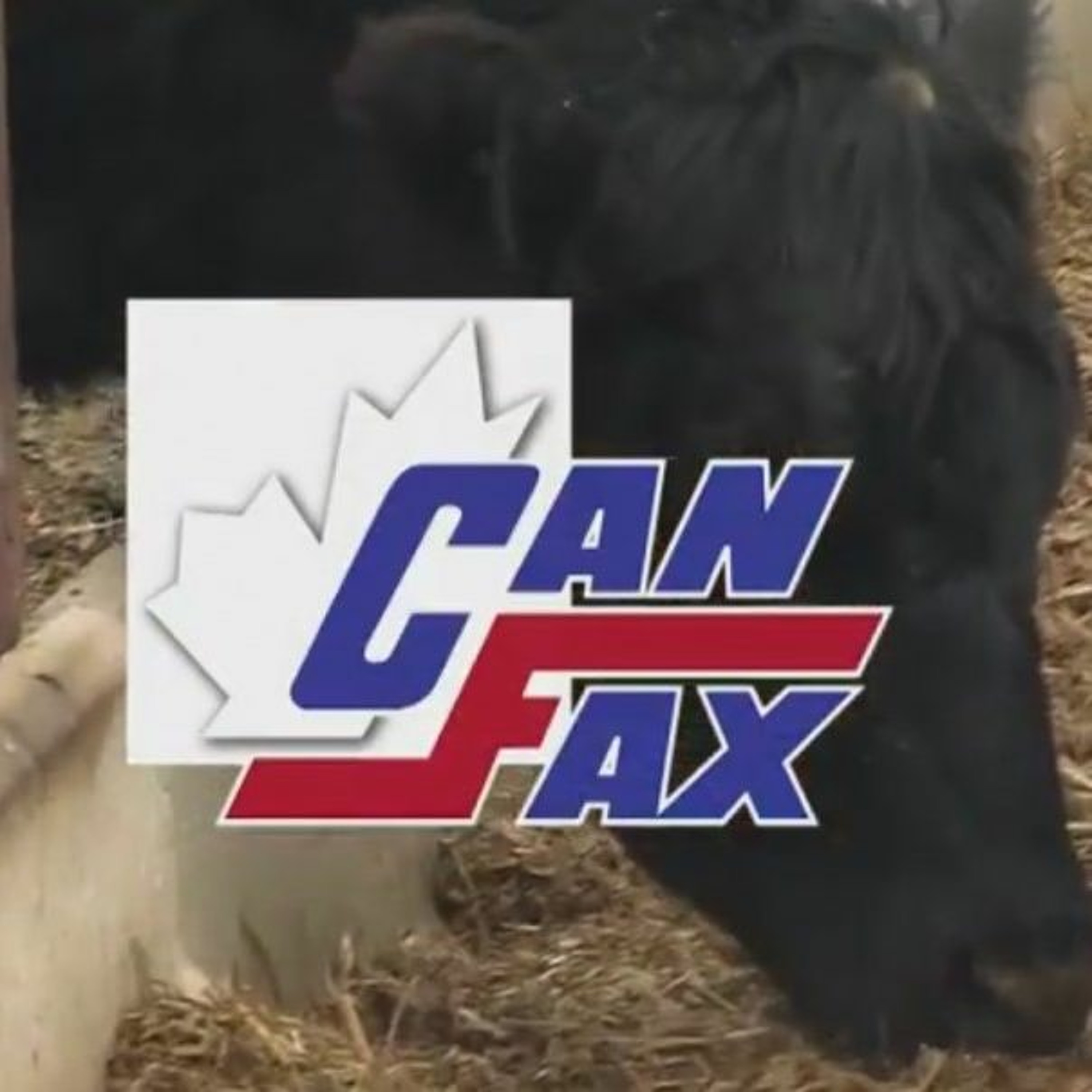 Rural Roots Canada