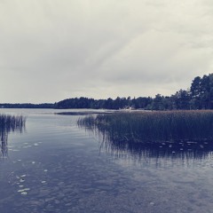 Littoistenjärvi-räppi