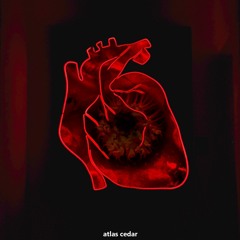 Heartbreak of Love