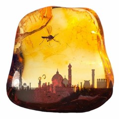 Selah's City (Maltese Striptease Demanding Tart Mix)