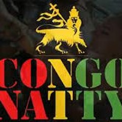 Congo Natty - Junglist - (Static Bootleg)