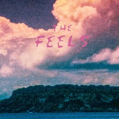 The Feels ( prod. Kaluara)