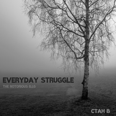 THE NOTORIOUS B.I.G - Everyday Struggle (CTAH B REMIX)