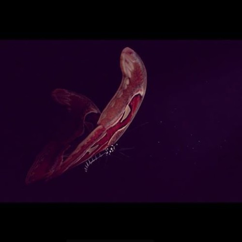 The better fly effect