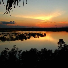 AMAZONIA ☘️🦋.mp3