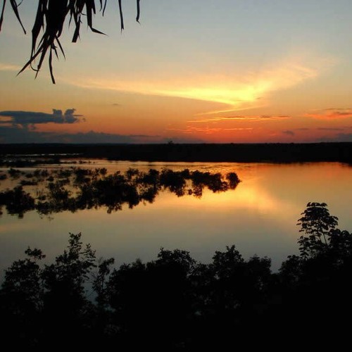 AMAZONIA ☘️🦋.mp3