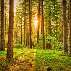 Miracle (Prod. OBRO)