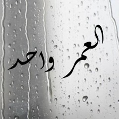 تلاوه للشيخ مشاري البغلي من سورة الكهف