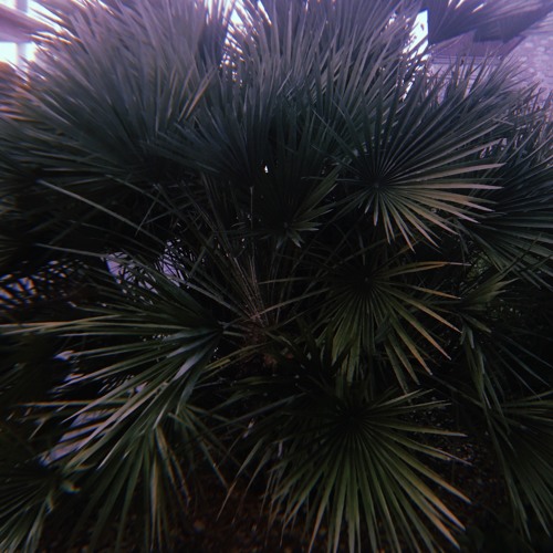 Mase - What You Want [Ft. Total]  (XODOS Flip) FREE D/L