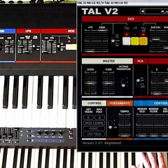 Tal And Stock Processors