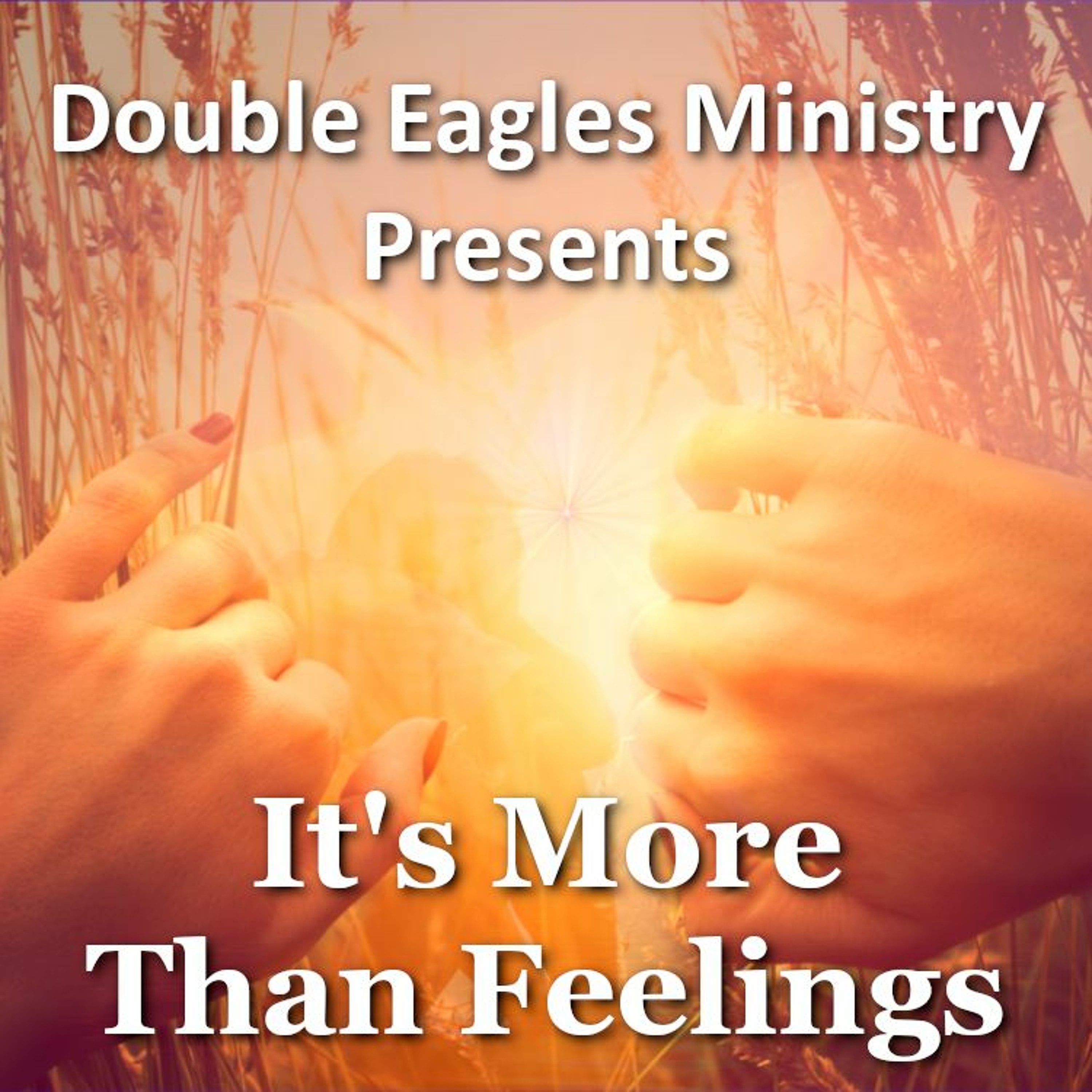 It's More Than Feelings episode artwork