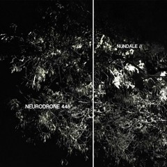 Neurodrone 445
