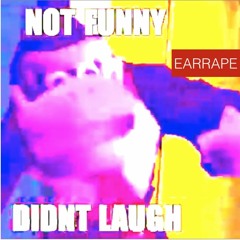Not Funny Didnt Laugh Donkey Kong EARRAPE