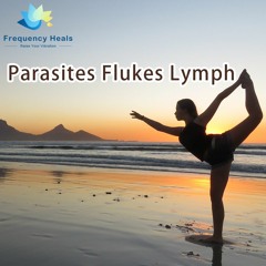 Frequency Heals – Parasites Flukes Lymph (ETDF)