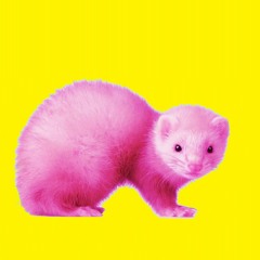 Life Of Her Own Featuring April Compo