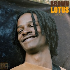 Brown Lotus
