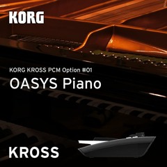 015 Repetition Piano