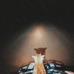 Blankaz - DumbMushy Feat.Spaceboykey (Prod.OverL00k)