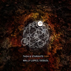 Tash, Starkato - The Bash (SEQU3l Remix) *Preview* [Movement Recordings]