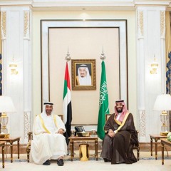 انا الملك جلاد زين , شعاري نخله و سيفين