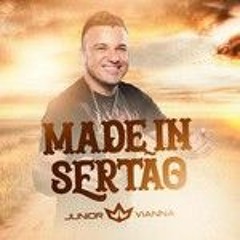 Menina do Sul - Júnior Vianna