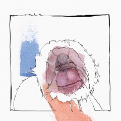 Acid Pauli - Goran Utan