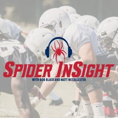 SpiderInSight.5.82719