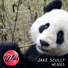 WLD013: Jake Scully