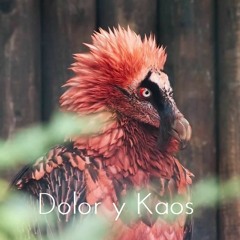Dolor Y Kaos