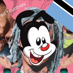 Pose to Yakko world (Mashup)