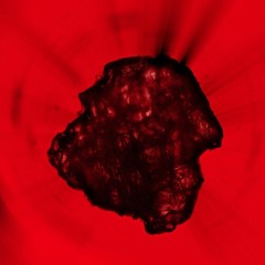 RANDOM QUEST - HEARTLESS