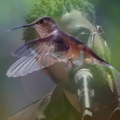 Wings Damso Type Beat