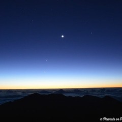 We Are (Sweet Honey in the Rock)