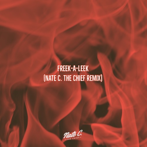 Freek-A-Leek (Nate C. The Chief Remix) (Full Download)