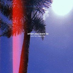 When You Want To (feat. Maggie Miles)