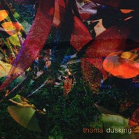 Thoma - Dusking