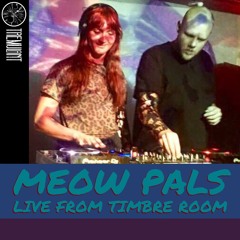 Joe B and Pelehon (Meow Pals) - Live From Timbre Room (Tremulant)