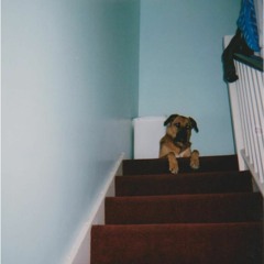 Stanley