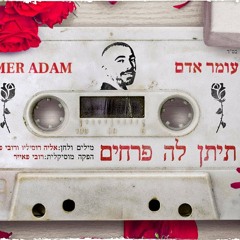 עומר אדם - תיתן לה פרחים (Sharon Yosefov Remix)