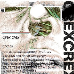 GADA PUTNS LATVIJĀ 96'