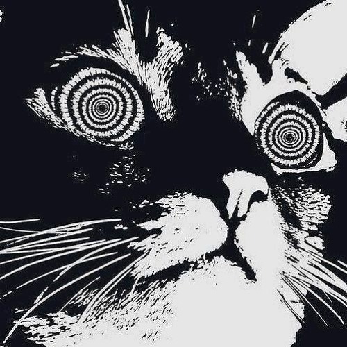Brownytek & Oxytek - PsycoKat