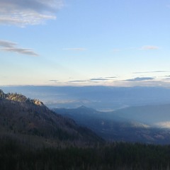 In Too Deep (Tijana Bogićević Remix)