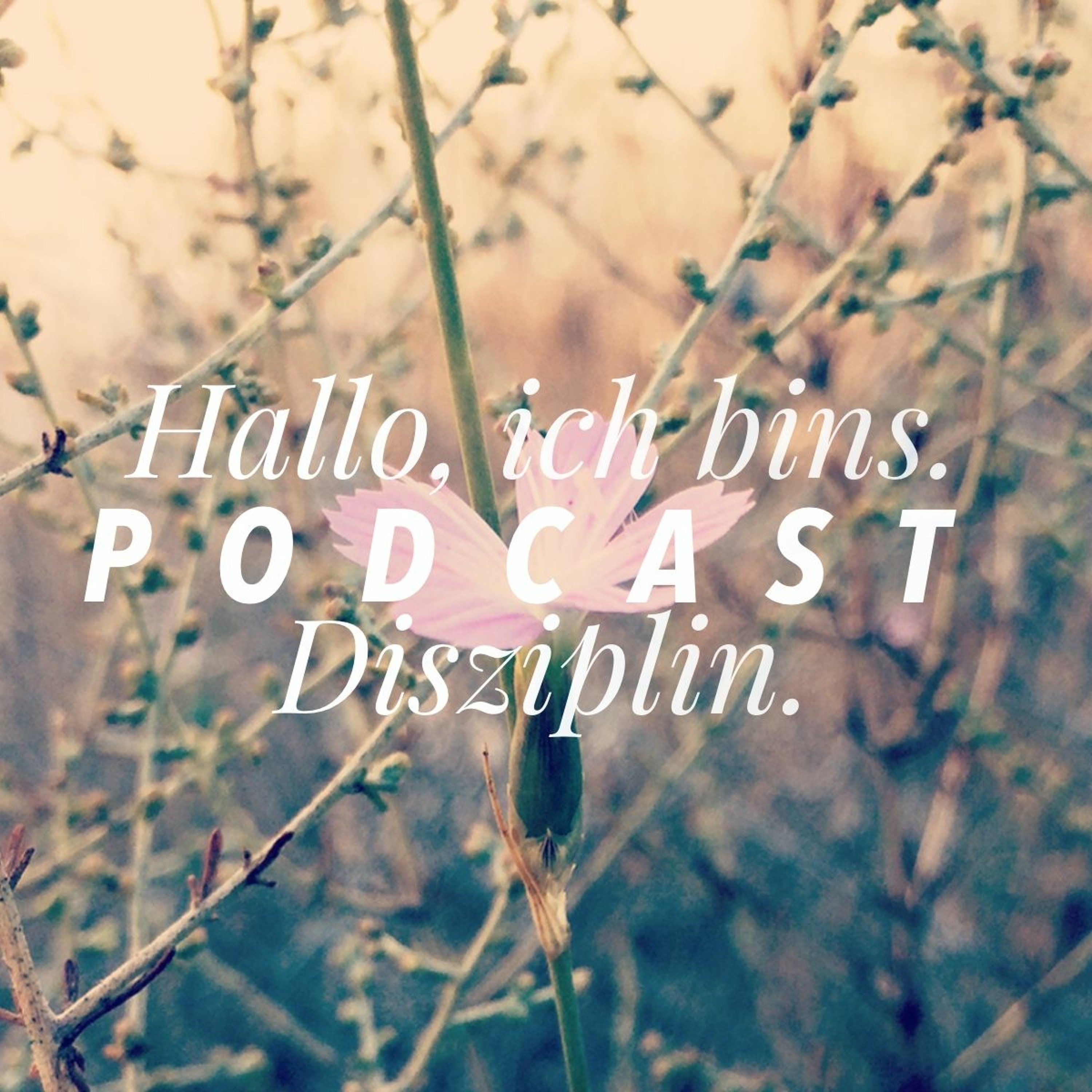 Hallo, ich bin\'s.