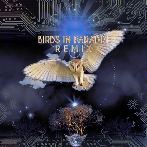 Bird Tribe - Amazonia (Shamans Dream & Geometrae Remix)