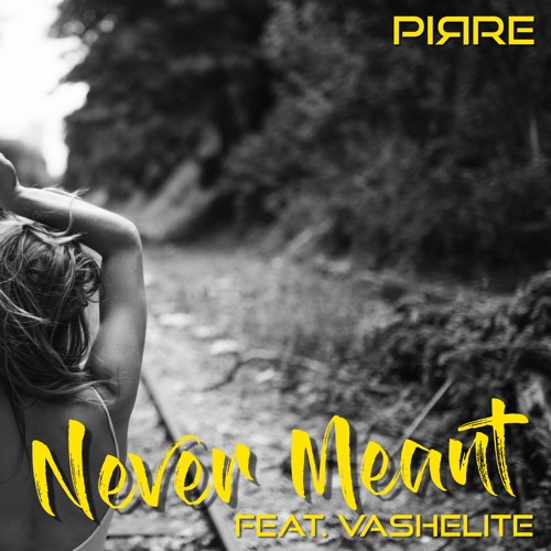 Never Meant (feat. VashElite)