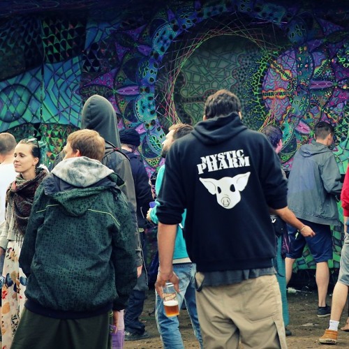 Digital Forest 2019 in Czech Republic