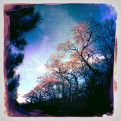 Last Leaf, arranged for string quintet (Bm S)
