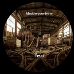 Module your brain - Peska