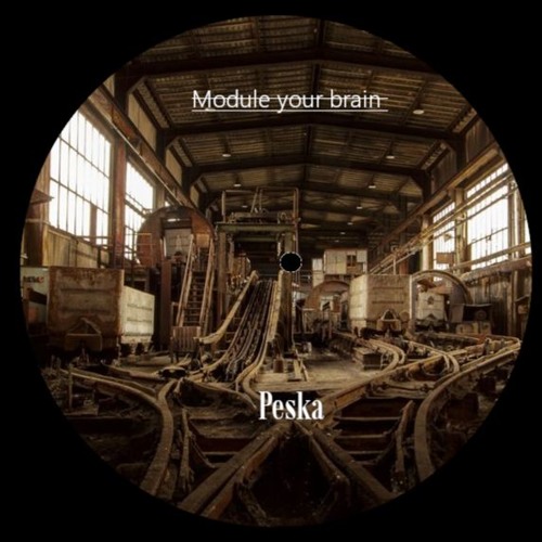 Module your brain - Peska